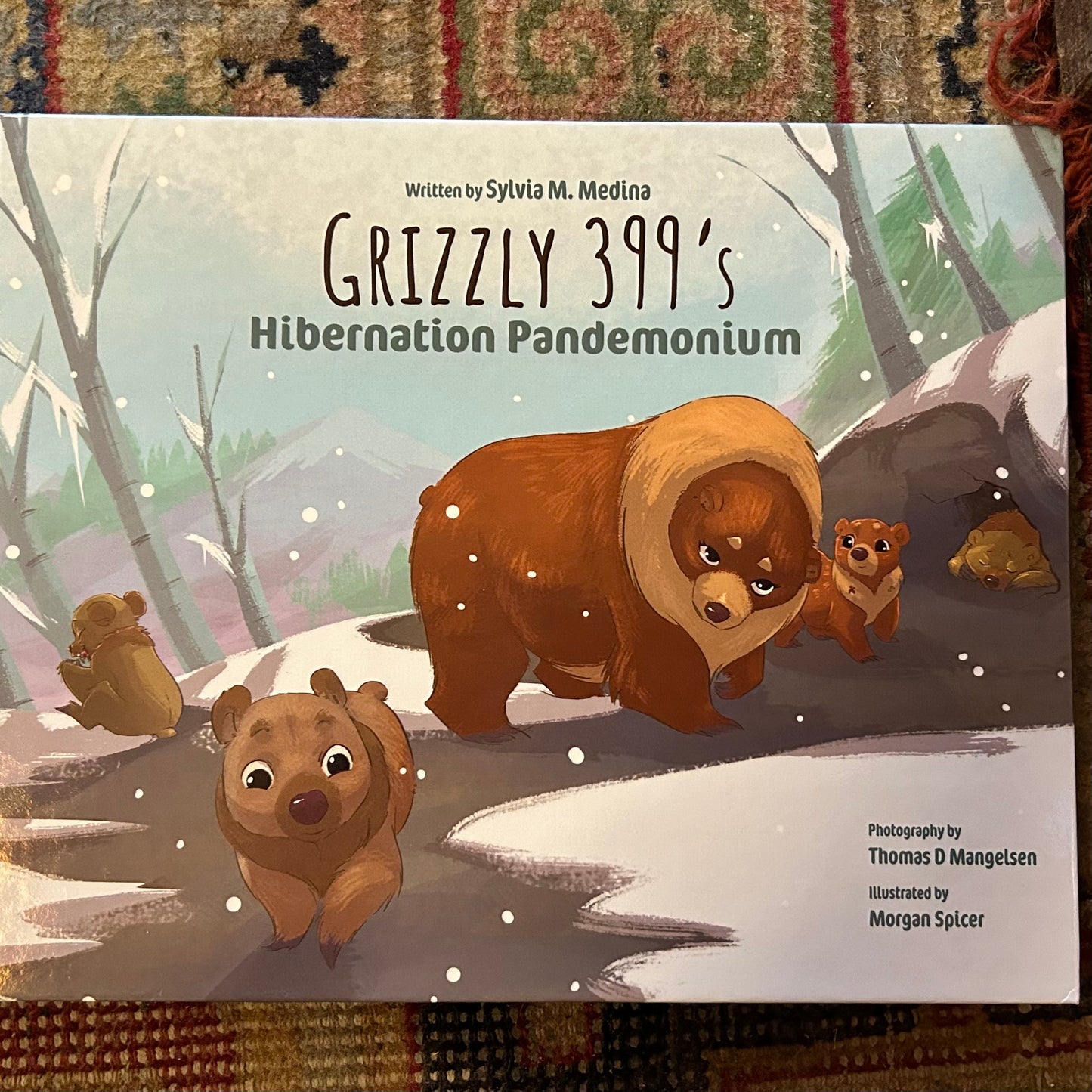 Grizzly 399 Hibernation Pandemonium