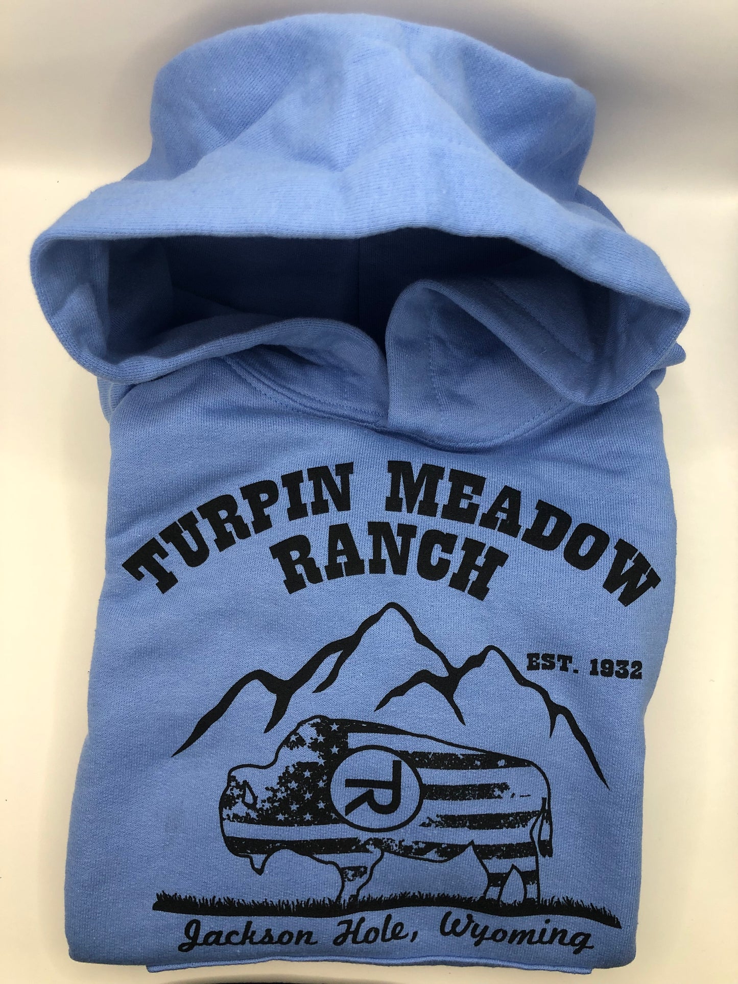 Youth Hoodie