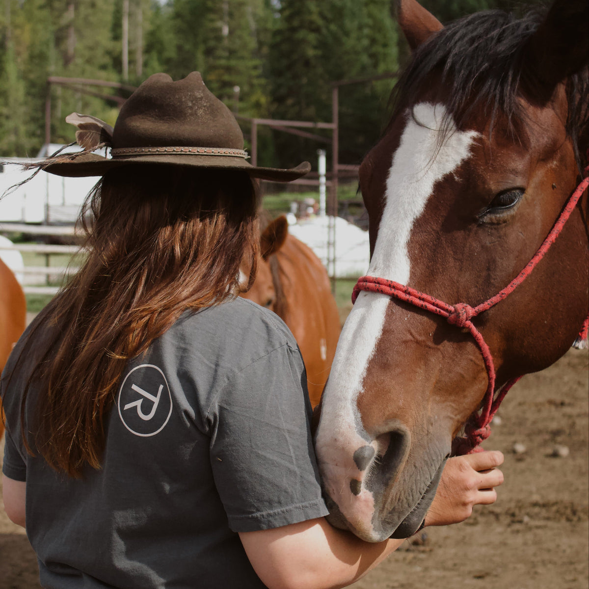 Short Sleeve Black Elk Tee